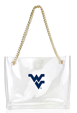 CLEAR HAND BAG WITH GOLD CHAIN